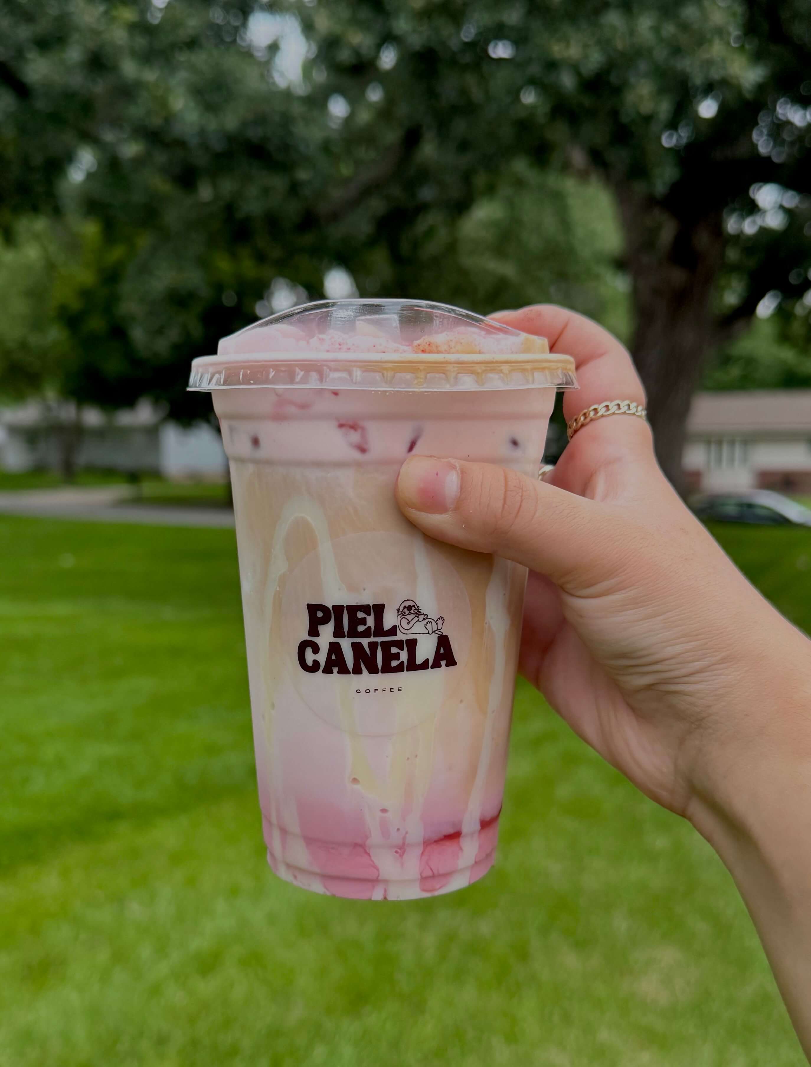 Fresas con Crema Latte